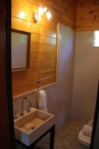 y baño con lavabo y aseo. en Cabaña El Mahayana en Tigre