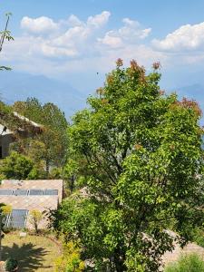 een grote boom in een tuin naast een huis bij NALDUM VILLAGE RESORT By The Edge Nagarkot in Nagarkot