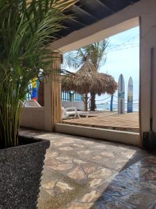 ein Resort mit Blick auf den Strand und Surfbretter in der Unterkunft Tolu paradise 101 in San Silvestre