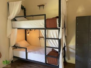 a room with bunk beds in a hostel at The Jungle House in Canggu