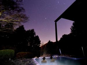tres patos en una piscina por la noche en Hakone Yunohana Prince Hotel, en Hakone