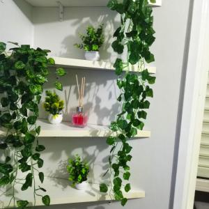 a shelf filled with lots of green plants at Amplo apt próximo ao Consulado in Porto Alegre