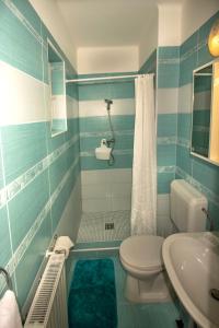 a blue and white bathroom with a toilet and a sink at Diófa Apartman Balatonederics in Balatonederics