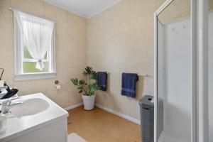 a bathroom with a sink and a shower at Terracotta Cottage in Te Awamutu