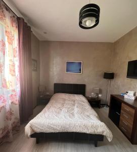 1 dormitorio con 1 cama y ventilador de techo en Casa Bia, en Iaşi
