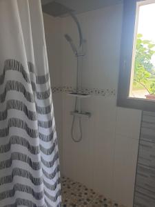 a shower with a shower curtain in a bathroom at LE REFUGE in Lurcy-Lévis