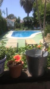 Bazén v ubytovaní Macondo La barrosa alebo v jeho blízkosti
