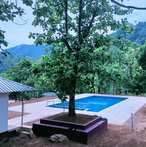 un albero seduto accanto alla piscina di Forest and River Edge Resort a Kannur