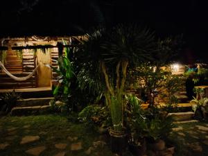 een palmboom voor een huis 's nachts bij Payag n' Kapitan, Experience pinubre living in Siquijor