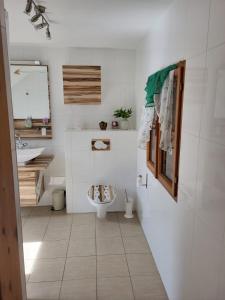 ein Bad mit einem WC und einem Waschbecken in der Unterkunft Ferienwohnungen Bonnleiten Familie Stöger in Stössing