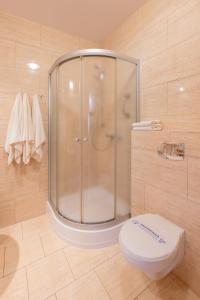 a bathroom with a glass shower and a toilet at Hotel Reśliński in Grodzisk Wielkopolski