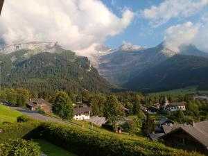 vistas a un valle con montañas en el fondo en Studio avec vue splendide sur les Diablerets en Les Diablerets