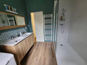 La salle de bains est pourvue d'une douche et d'un lavabo. dans l'établissement Maison de village rénovée, à Metz