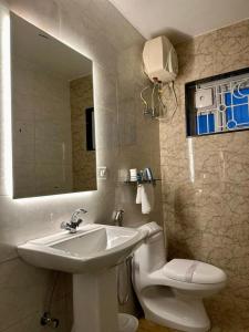 烏蒂的住宿－Ponmari Villa，一间带水槽、卫生间和镜子的浴室