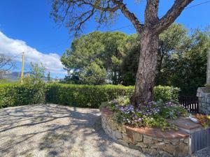 Zahrada ubytování Casa Capo Perla - ArgonautiVacanze