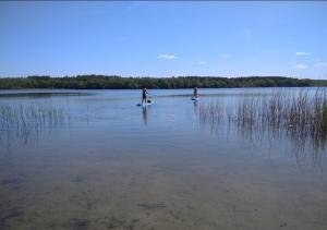 dos personas en tablas de paddle en un gran lago en Lieblingsort, en Wesenberg