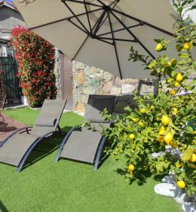 Gallery image of CA' VERDEMARE in Varazze +42 photos