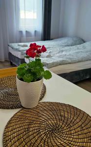 a vase with red flowers sitting on top of a table at Route66 apartament by Karl in Radom