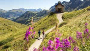 Paesaggio naturale nelle vicinanze dell'appartamento