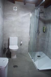 uma casa de banho com um WC e uma cabina de duche em vidro. em Casa da Castañuela em Muros