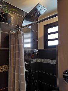 La salle de bains est pourvue d'une douche avec rideau de douche. dans l'établissement Hostal 170 Room 14 Service Appartement, à Le Tampon