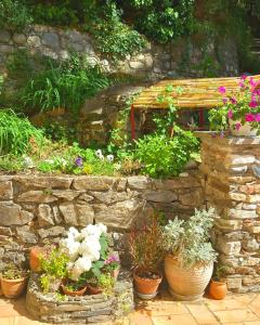 a stone wall with lots of pots of plants at Maison Do Mi Sol in Reynès