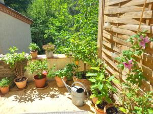 a bunch of potted plants sitting on a patio at Maison Do Mi Sol in Reynès