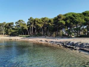 a beach with a bunch of trees and water at Charmant studio climatisé 24 m2 terrasse à 100m de la plage in Saint-Mandrier-sur-Mer