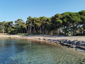 - une plage avec quelques arbres et de l'eau dans l'établissement Charmant studio climatisé 24 m2 terrasse à 100m de la plage, à Saint-Mandrier-sur-Mer 3 autres photos