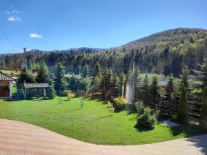 プトナにあるPensiunea Putnisoaraのギャラリーの写真