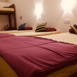 Letto o letti in una camera di Tiki bar hostel ella