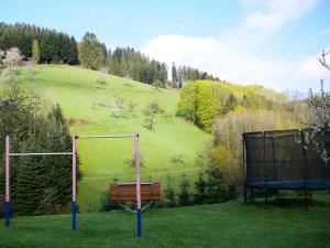 a park with a bench and a basketball hoop at Bühlbauernhof in Bad Peterstal-Griesbach