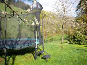 Une balançoire dans l'herbe dans une cour dans l'établissement Bühlbauernhof, à Bad Peterstal-Griesbach