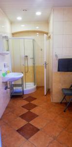 uma casa de banho com um chuveiro, um lavatório e um WC. em penzion U Soudu em Liberec