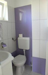 a bathroom with a toilet and a sink at Apartment in Zaboric with sea view, balcony, air conditioning 5178-3 in Šibenik
