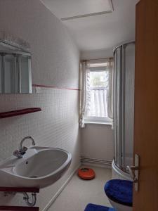 uma casa de banho com um lavatório e um chuveiro em Pension Haus Martha em Bad Grund