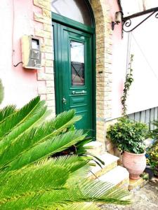 a green door on the side of a building with plants at Voukamvilia Boutique Apartment in Ágios Matthaíos