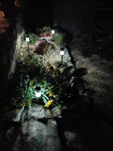 Ogród w obiekcie Au BeauLieu