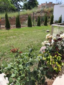 Un jardín con flores y plantas en un patio. en Прекрасный апартамент с видом на море и бассейном, en Byala