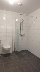 a bathroom with a toilet and a shower stall at Apartment in Hafjell / Øyer centre. in Hafjell