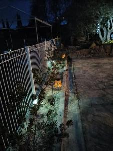 Ogród w obiekcie Au BeauLieu