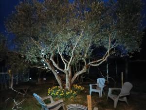 Ogród w obiekcie Au BeauLieu