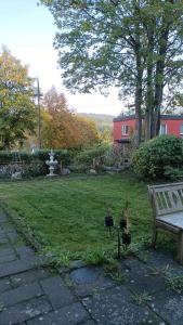 um banco de parque e dois vasos de plantas num quintal em Eifelerlebnis em Jünkerath