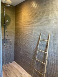 a bathroom with a shower with a ladder in it at La Grenouillère in Cléder