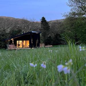 a cabin in a field with flowers in the grass at Quirky, Luxury Hideaway in Llanbrynmair