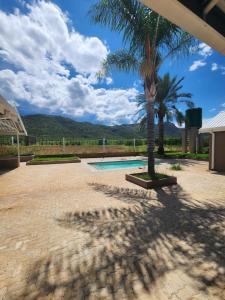 a palm tree sitting next to a swimming pool at DE JAGTER'S NEST in Otavi