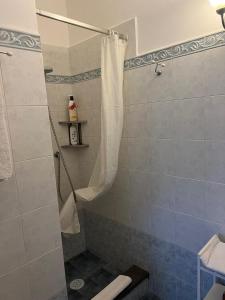 y baño con ducha y cortina de ducha. en Appartamento La Follicara en Anacapri