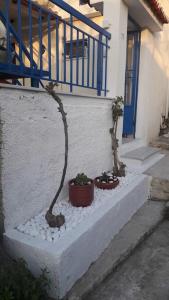 dos macetas sentadas en las escaleras de una casa en Lovely Vacation Home, en Poros