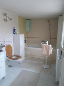 Vonios kambarys apgyvendinimo įstaigoje PAVLA-ubytování v Poštorné