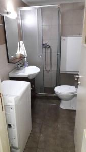 W łazience znajduje się prysznic, toaleta i umywalka. w obiekcie Lovely Vacation Home w Poros